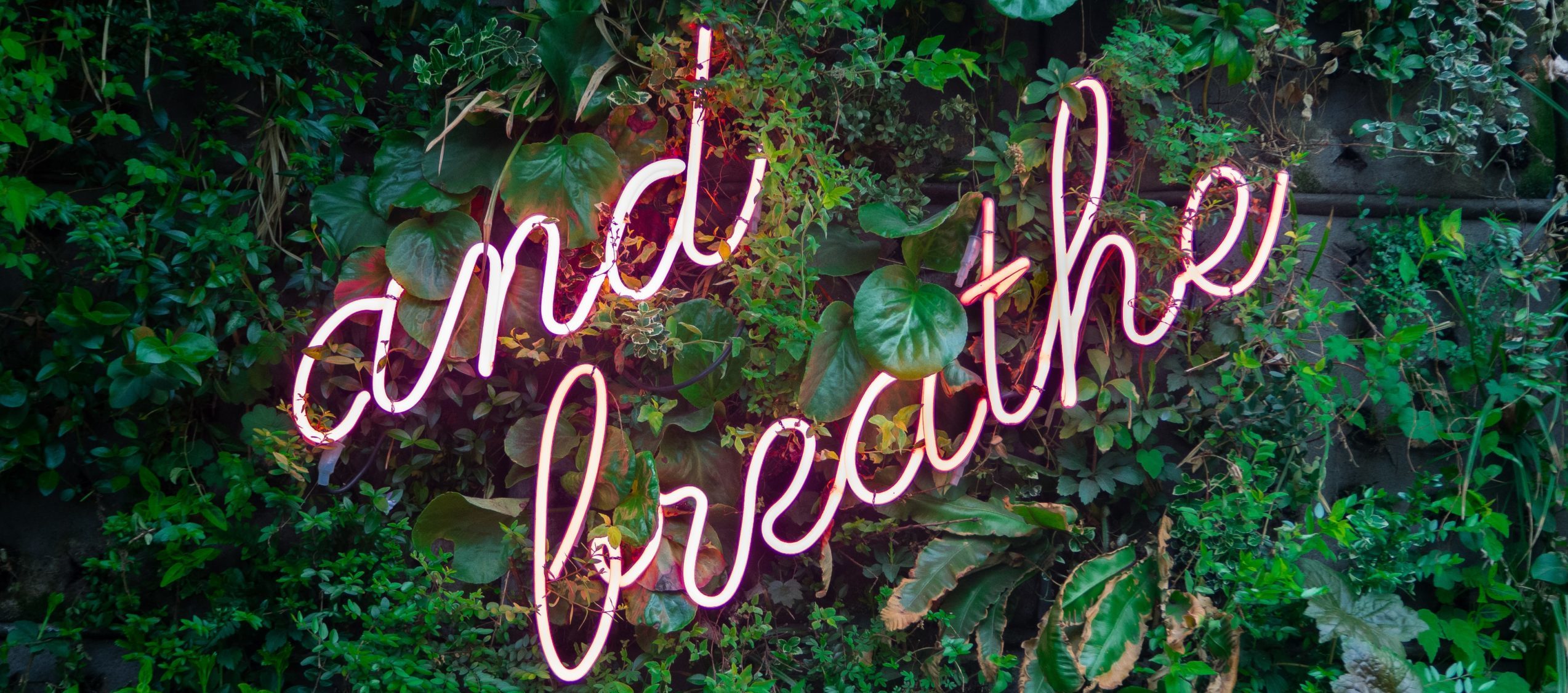a neon sign says "and breath" with a green leafy background.