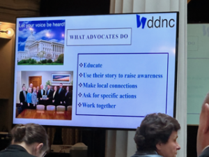 A PPT slide from DDNC Advocacy training